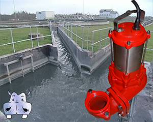 vânzare și asistența la cel mai bun pret pentru pompe electrice submersibile pentru canalizare și ape uzate Leporis