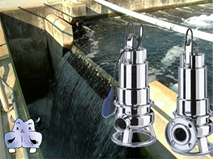 Prețuri competitive și asistență tehnică, mulțumită Ebara, Pippohydro propune cu o tehnologie avansată privind prelucrarea oțelului inoxidabil aplicată pompelor submersibile domestice, un produs profesional pentru toate aplicațiile, pompele electrice submersibile  studiate pentru pomparea de ape uzate și reziduale, în dotație de mari canale, permit intrarea de ape murdare cu corpuri solide în suspensie;