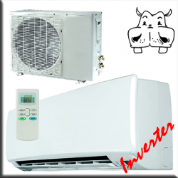 Aer condiționat DC inverter monosplit 