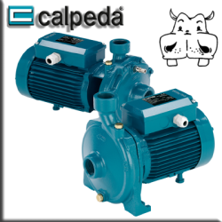 Calpeda - Elettropompe Monogirante NMM-NM
