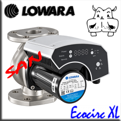 Lowara - Ecocirc XL N Sanitario Bocche flangiate