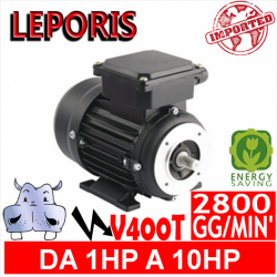 Leporis - Motoare electrice V400T 2 POLI 2800 GG.MIN Forma B3.B5 - Eficiență IE2