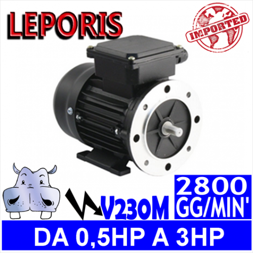 Leporis - Motoare electrice V230M 2 POLI 2800 GG.MIN Forma B3.B5