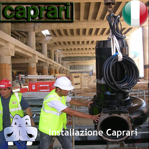 Pos. 03 Caprari Submersibila pentru canalizare KCM250R 4