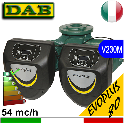Circulator gemelar electronic Dab Evoplus D (dublu) DN80