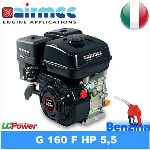 Motor pe benzină G 160F HP 5,5