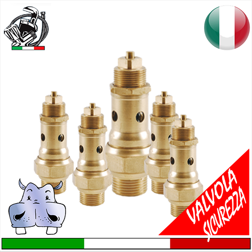 Valvola di sicurezza a scarico libero con sigillo casse IV 3