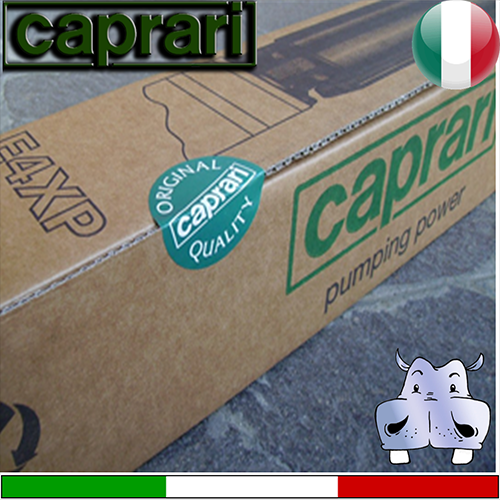 Caprari - Elettropompa sommersa completa E4XPD30+UNIMOTOR 230 Trifase - idonea per inverter MT 3