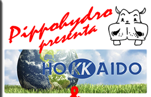 reduceri condiţionatoare hokkaido pe pippohydro