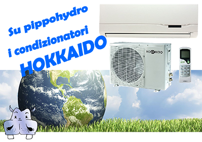 pe pippohidro găseşti cele mai bune oferte pentru condiţionatoarele DC invertor multisplit hokkaido ce respecta mediul si economiseşte energie electrică