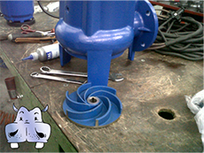 particolare della girante Vortex pompa sommergibile trituratrice speroni dab lowara caprari pedrollo