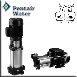 pompa pentair water - pompa acqua