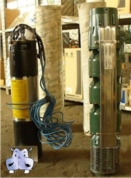 Pompe electrice submersibile pentru puturi Pompe electrice submersibile Caprari la cel mai bun preț, pentru puțuri, cisterne