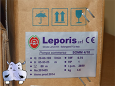 motore con attacco standard per pompe sommerse caprari pedrollo lowara lebas espa grundfos